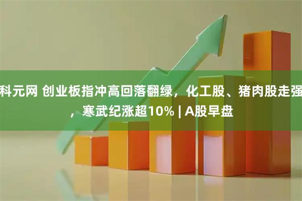 科元网 创业板指冲高回落翻绿,化工股、猪肉股走强,寒武纪涨超10% | A股早盘