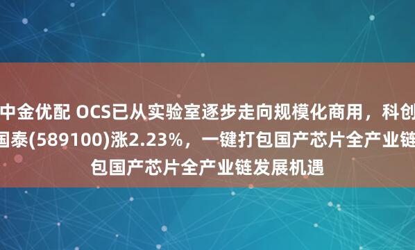中金优配 OCS已从实验室逐步走向规模化商用，科创芯片ETF国泰(589100)涨2.23%，一键打包国产芯片全产业链发展机遇